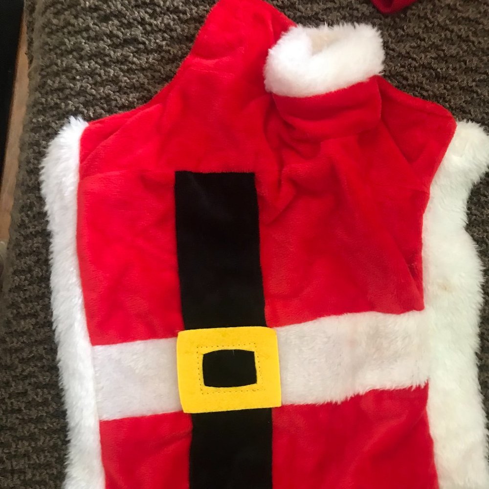Santa dog jacket